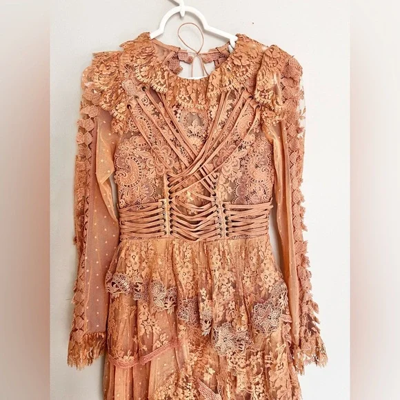 Super Rare 2017 Zimmermann Bowerbird Romance Mini Dress Runway Dress Size 1 - Picture 7 of 13